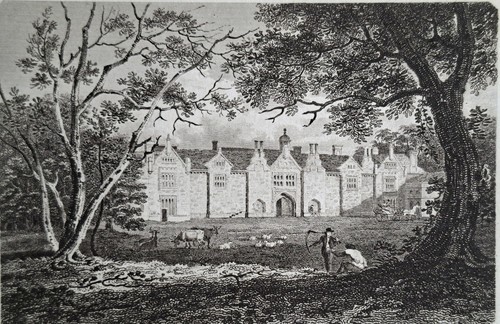 1804 antique print gosfield - 1804,